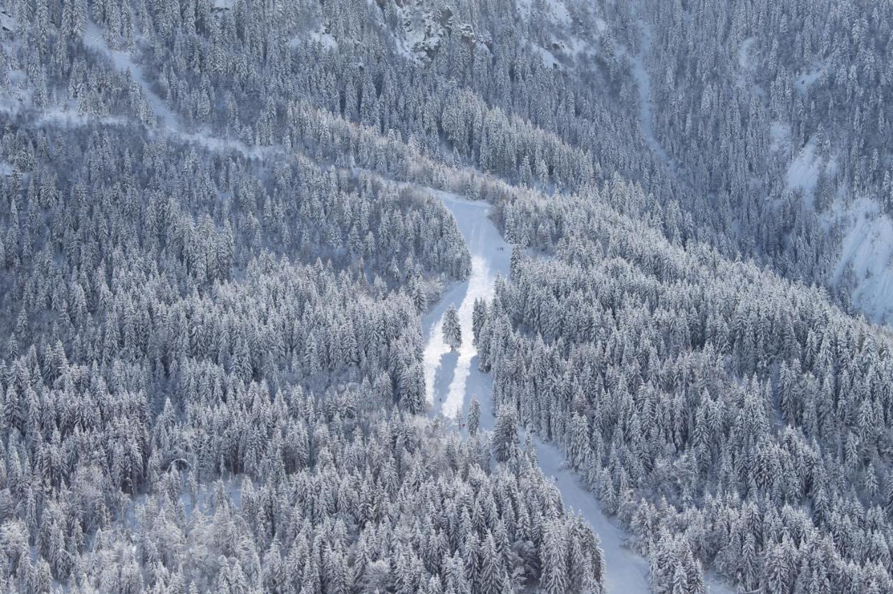 Le V De 4* Vaujany